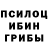 Галлюциногенные грибы GOLDEN TEACHER Andrey Nadtochey