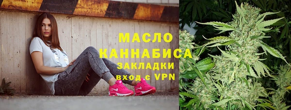 шишки Михайлов