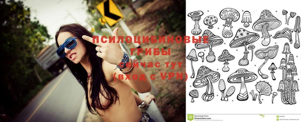 2c-b Надым