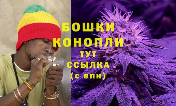 2c-b Надым