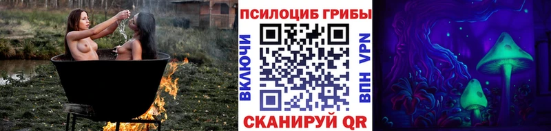 Купить  Усолье  Псилоцибиновые грибы Psilocybine cubensis 